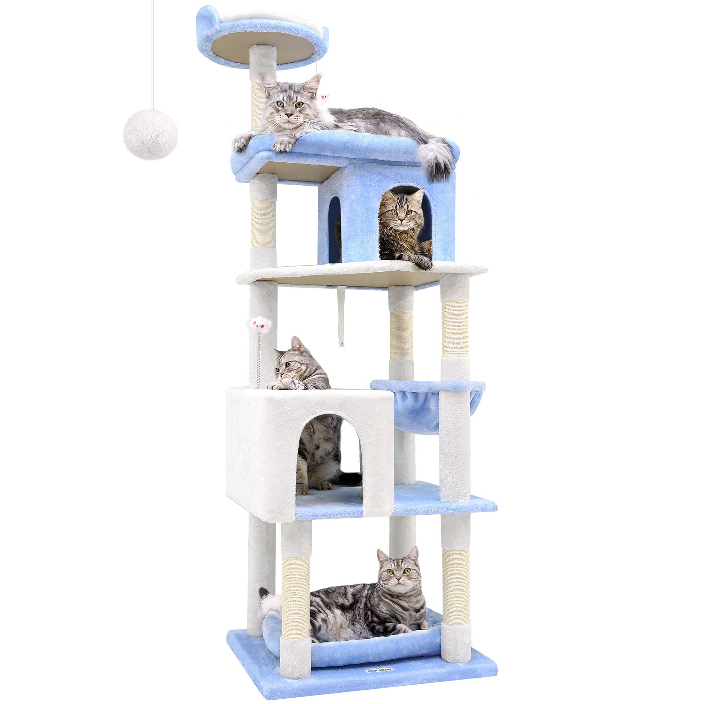 72 Inch Marine Blue Cat Climbing Frame - RAGIMA Emporium