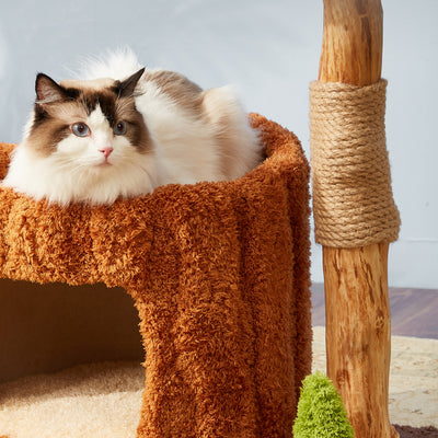 Solid Wood Cat Climbing Frame Integrated Sisal Toy - RAGIMA Emporium