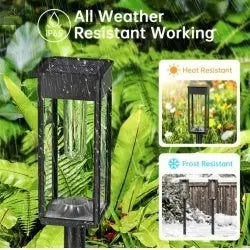 8 Pack Outdoor Solar Pathway Lights  Warm White For Garden Driveway Pathway Decoration  IP65 Waterproof - RAGIMA Emporium