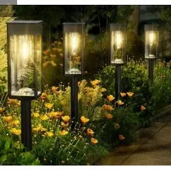 8 Pack Outdoor Solar Pathway Lights  Warm White For Garden Driveway Pathway Decoration  IP65 Waterproof - RAGIMA Emporium