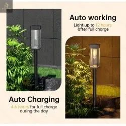 8 Pack Outdoor Solar Pathway Lights  Warm White For Garden Driveway Pathway Decoration  IP65 Waterproof - RAGIMA Emporium