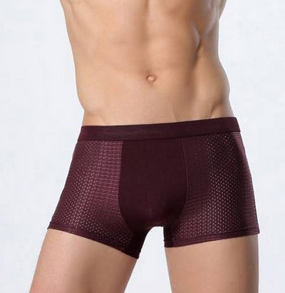 Ice silk men's underwear mesh boxer - RAGIMA Emporium