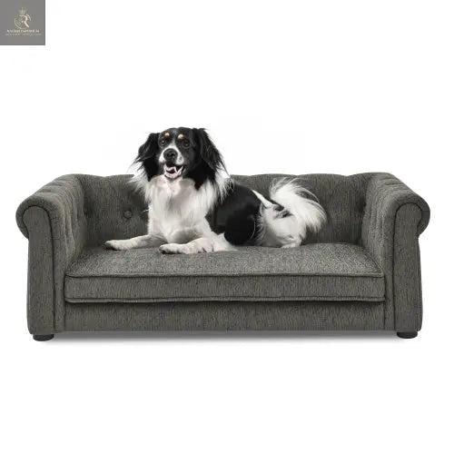 Elegant Rectangular Pet Bed For Medium And Large Dogs - RAGIMA Emporium