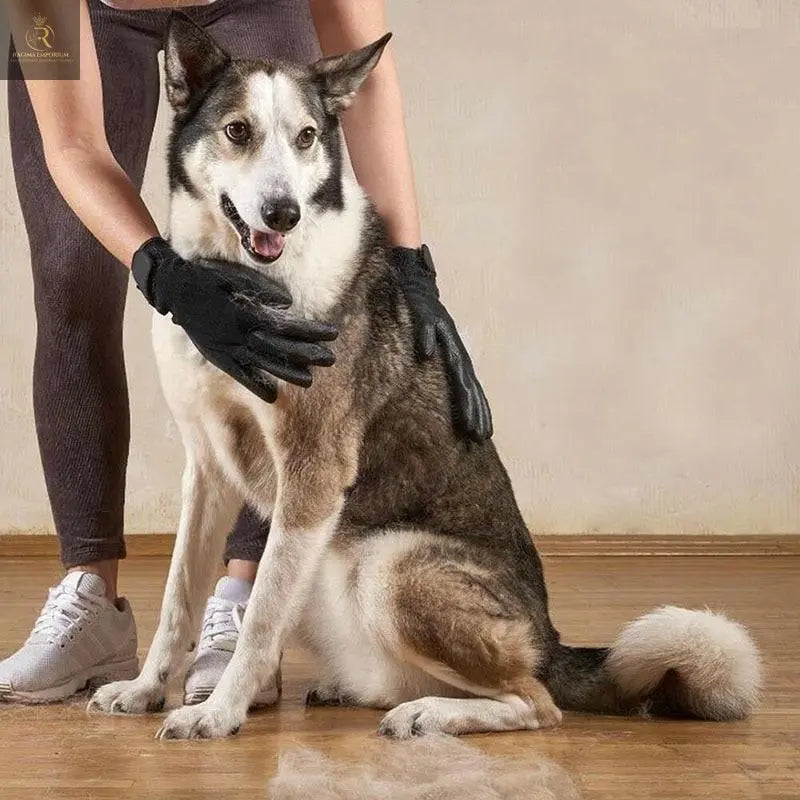 Fast Shipping 1 Pair Pet Grooming Gloves - RAGIMA Emporium