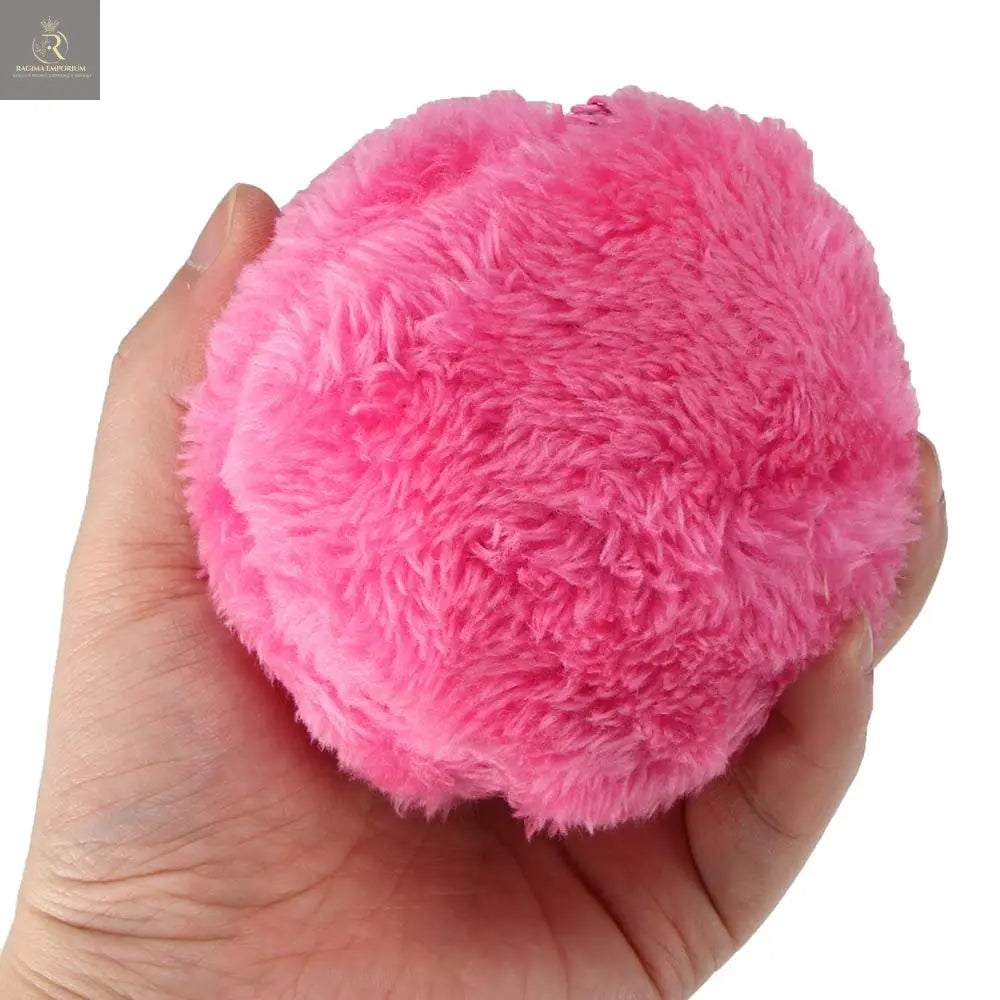 Magic Roller Ball Toy Dog Cat Pet Toy - RAGIMA Emporium