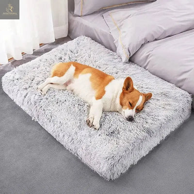 Plush Washable Dog Bed - RAGIMA Emporium