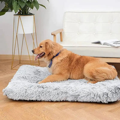 Plush Washable Dog Bed - RAGIMA Emporium