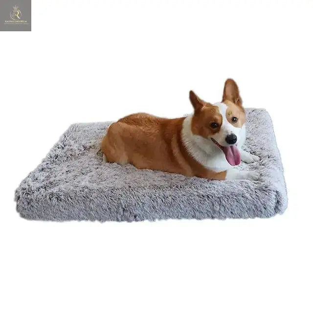 Plush Washable Dog Bed - RAGIMA Emporium