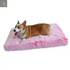 Plush Washable Dog Bed - RAGIMA Emporium