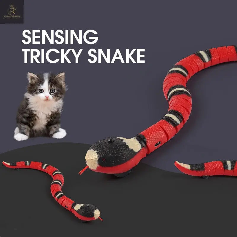 Smart Sensing Interactive Cat Toys Automatic Eletronic Snake Cat Teasering Play USB Rechargeable Kitten Toys For Cats Dogs Pet - RAGIMA Emporium