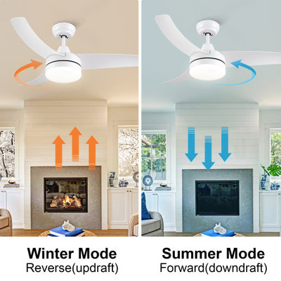 42 Inch Indoor White Ceiling Fan With LED Light - RAGIMA Emporium